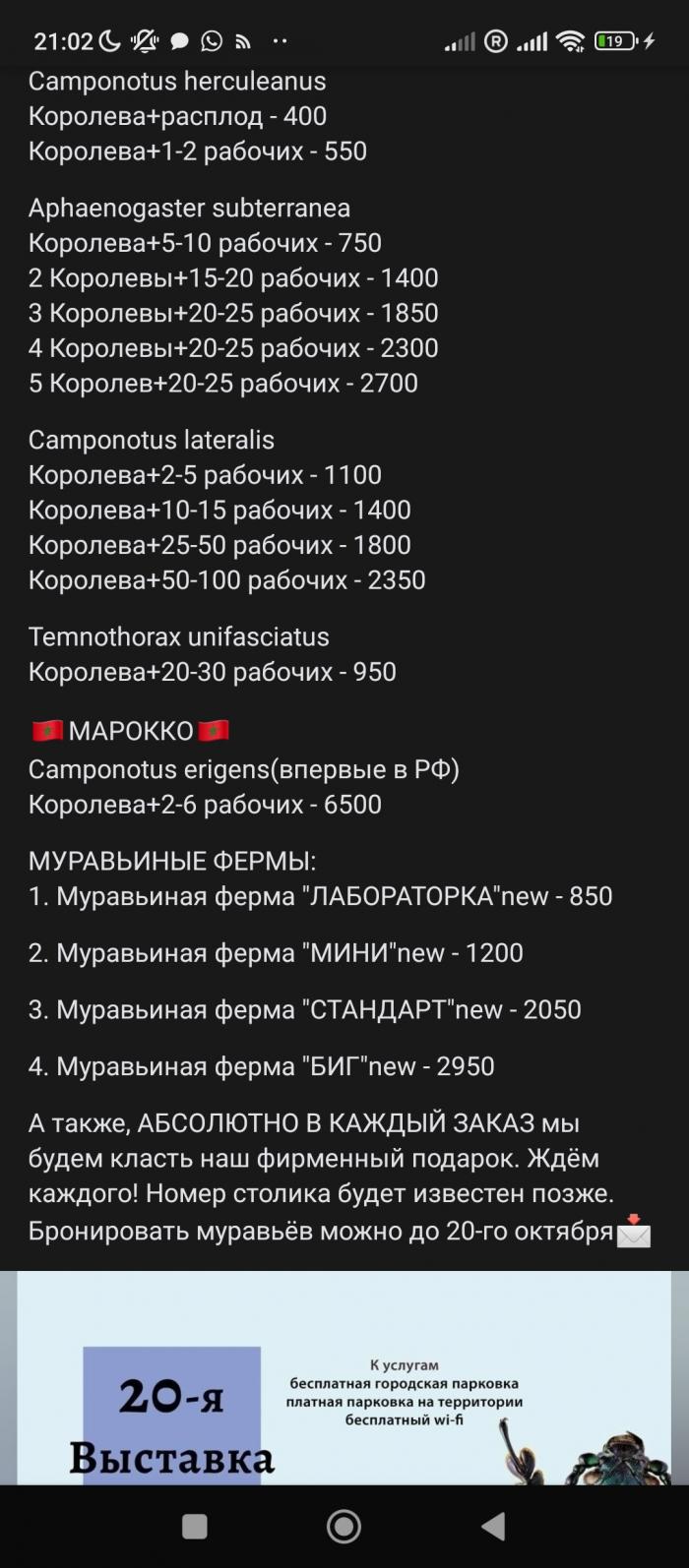 Screenshot_2023-10-17-21-02-25-663_com.vkontakte.android.jpg