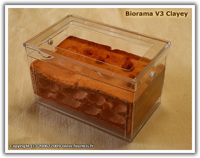 biorama-v3-clayey.jpg