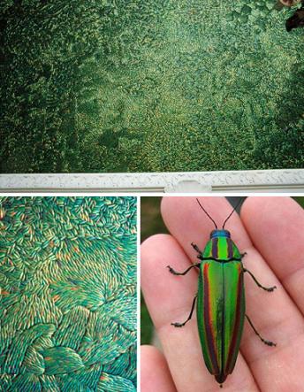 Buprestidae-beetle-ceiling-royal-palace-belgium.jpg