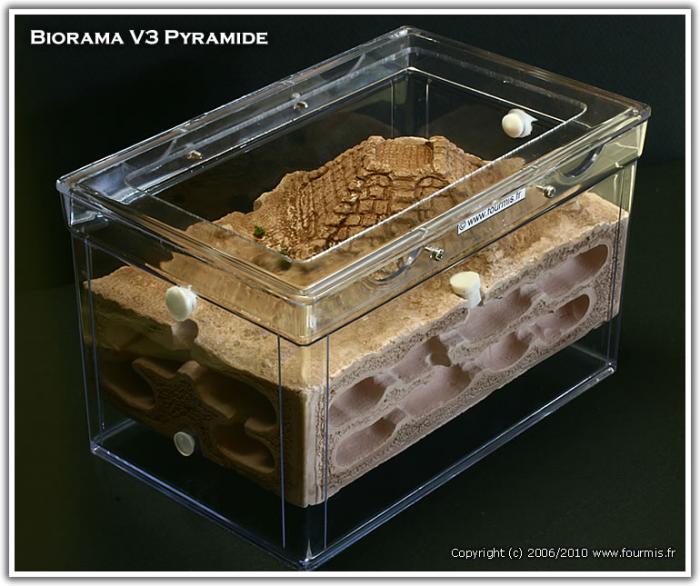 biorama-V3-pyramide.jpg