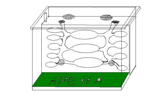 Схема муравьиной фермы