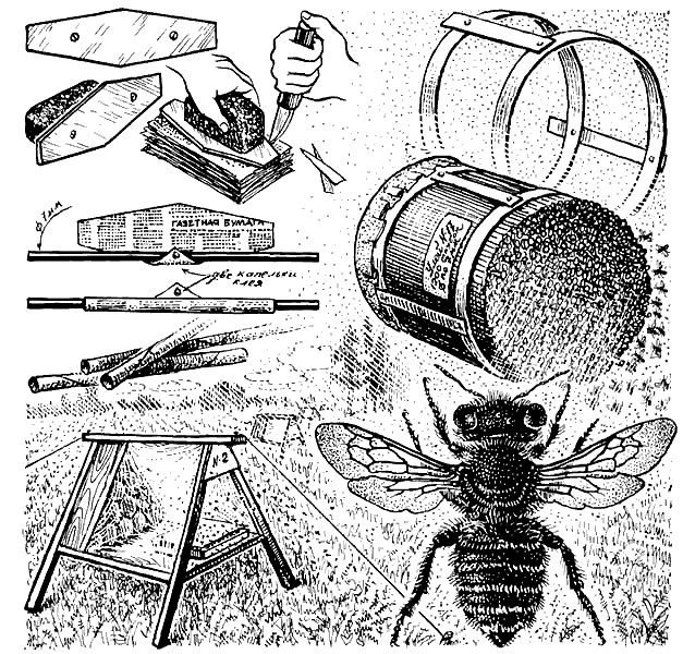 Основы пчеловодства. Как обеспечить себя медом