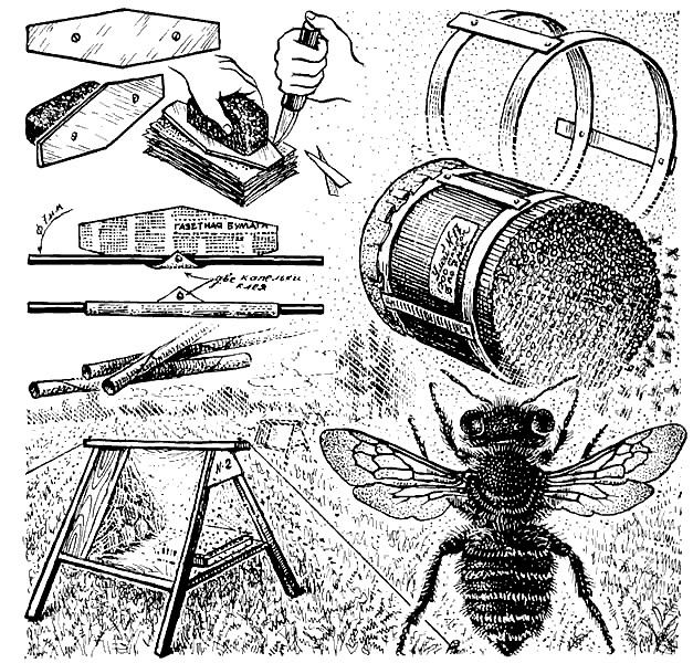 Ловушки-западни для ос своими руками: принципы работы и используемые материалы